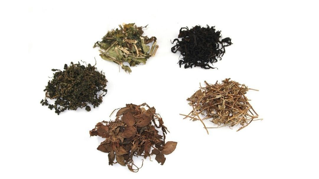 養肝茶原料