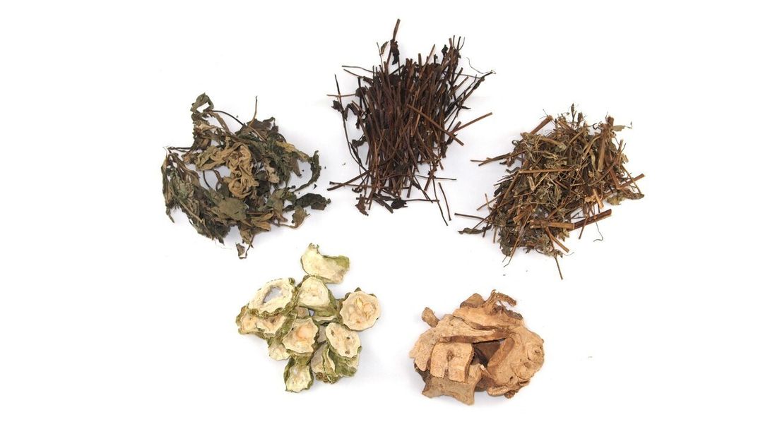 苦茶原料