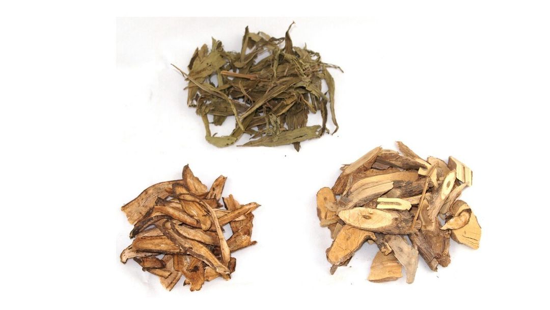 牛蒡枸杞根茶原料